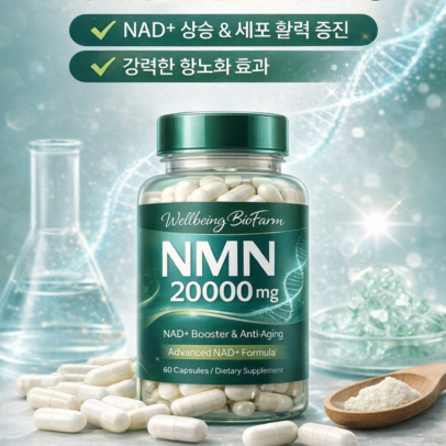 KakaoTalk_20260327_131810285